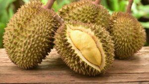 6 Manfaat Buah Durian Bagi Kesehatan
