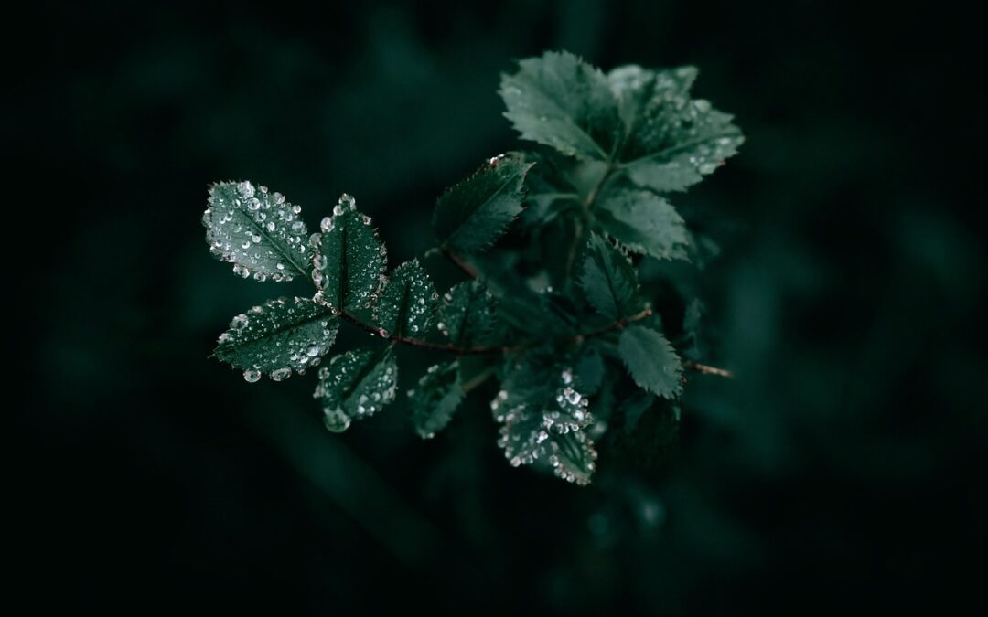 Alasan Mengapa Anda Harus Menggunakan UNI4D Link Alternatif Resmi Hari Ini