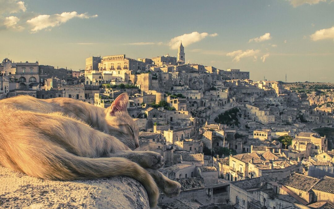 Cara Mudah Mendapatkan Bonus Member Baru UNI4D