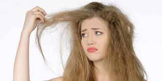Beberapa cara mengatasi  rambut  kering yang ampuh