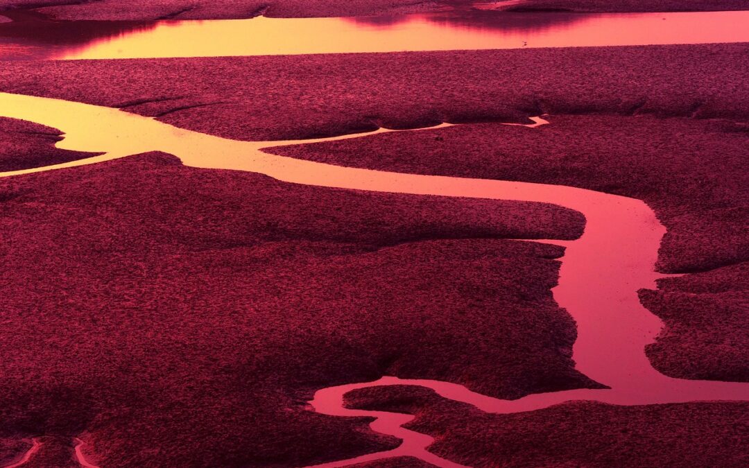 Keuntungan Bergabung di UNI4D untuk Pemain Baru