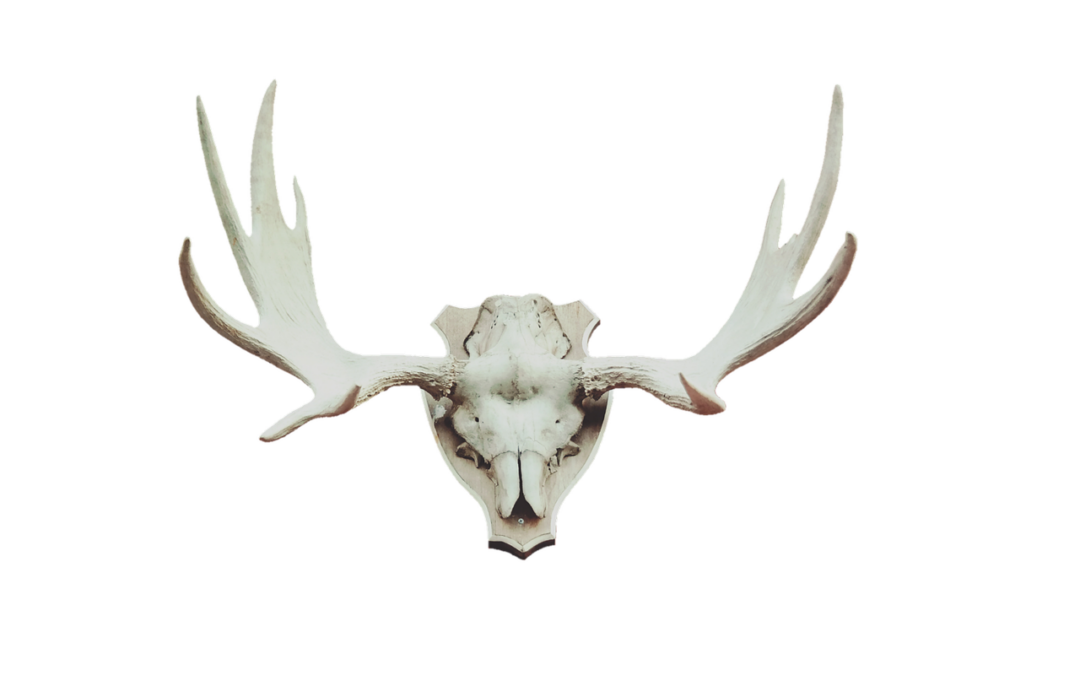 Bonus Member Baru UNI4D: Langkah-Langkah Sederhana untuk Bergabung